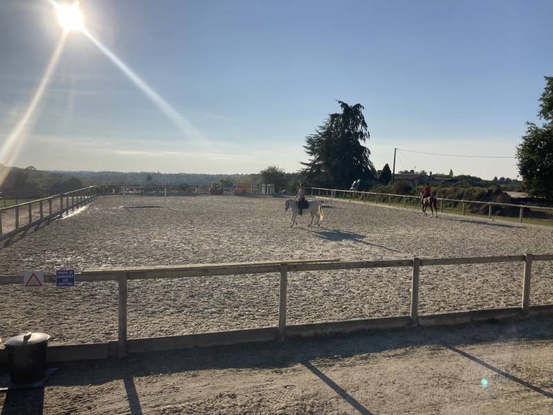 ecurie de proprietaires pour chevaux à bordeaux