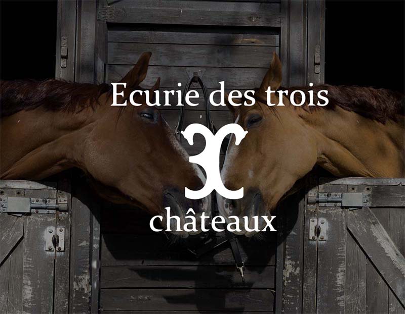 Ecurie avec pension pré pour chevaux avec problèmes respiratoires à Saint Médard d'Eyrans